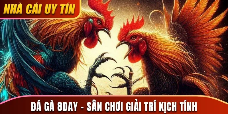 Đá gà 8Day