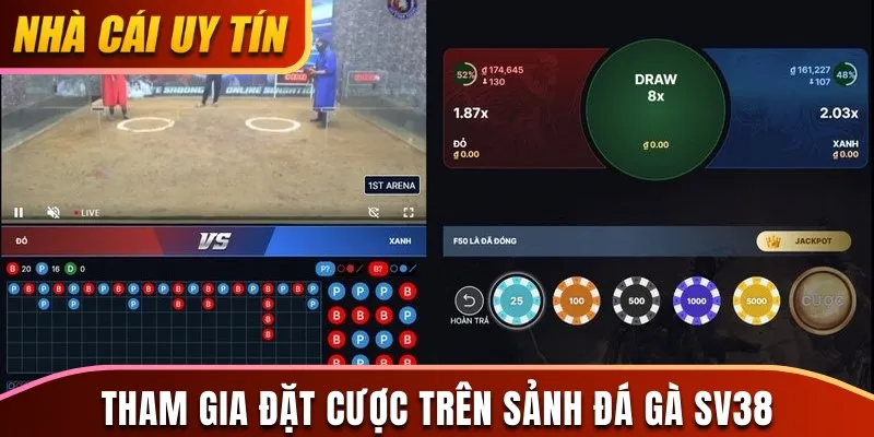 Tham gia đặt cược trên sảnh đá gà SV38