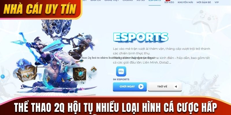 Thể thao 2Q hội tụ nhiều loại hình cá cược hấp dẫn và thú vị