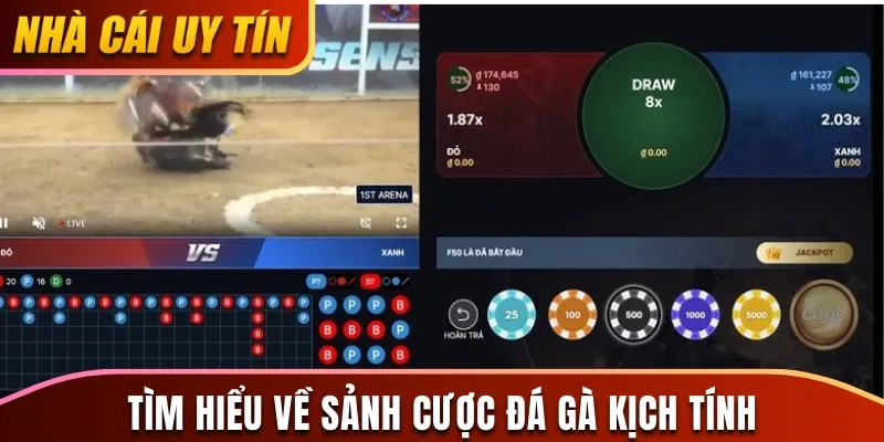 Tìm hiểu về sảnh cược đá gà kịch tính của 8Day